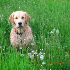 Meet your Posher, Deborah